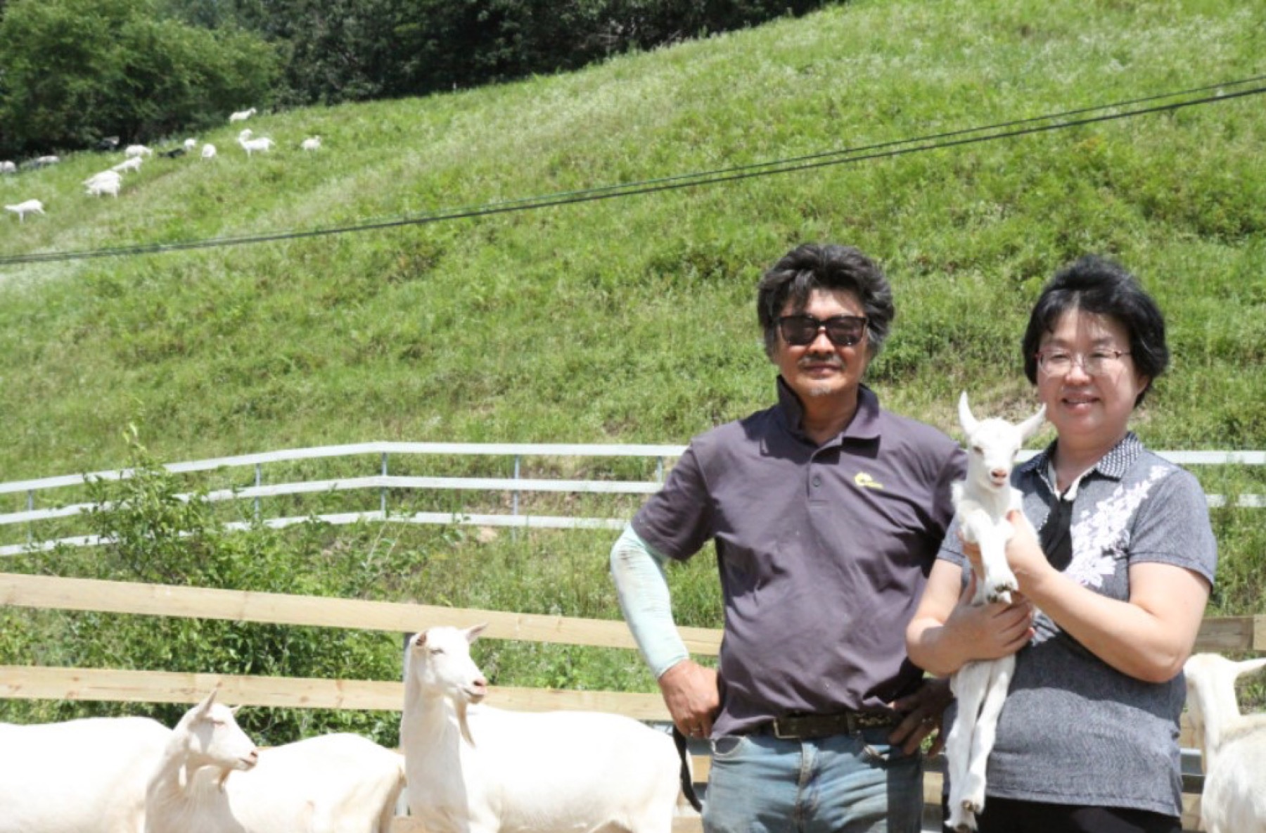 해맑은목장 생산자와 산양